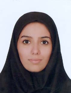 مهسافرجانجم
